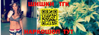 шишки Ставрополь