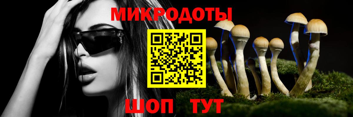 Галлюциногенные грибы Psilocybe  Галлюциногенные грибы Cubensis  Ногинск  Вход с VPN 