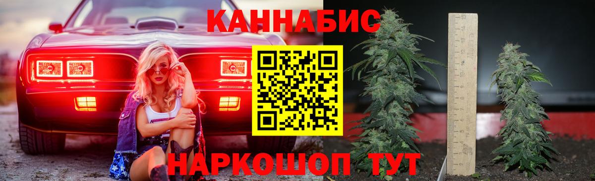 Конопля сатива Ногинск